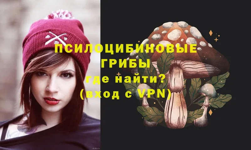 Псилоцибиновые грибы Psilocybe Сафоново